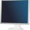 NEC MultiSync EA193MI-BK 19-Inch Screen LED-lit Monitor