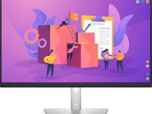 Dell 24 Monitor-P2422H