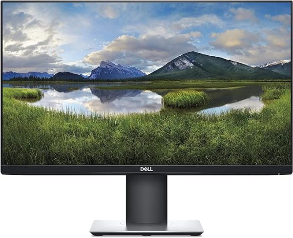 Dell 24 Monitor – P2419H