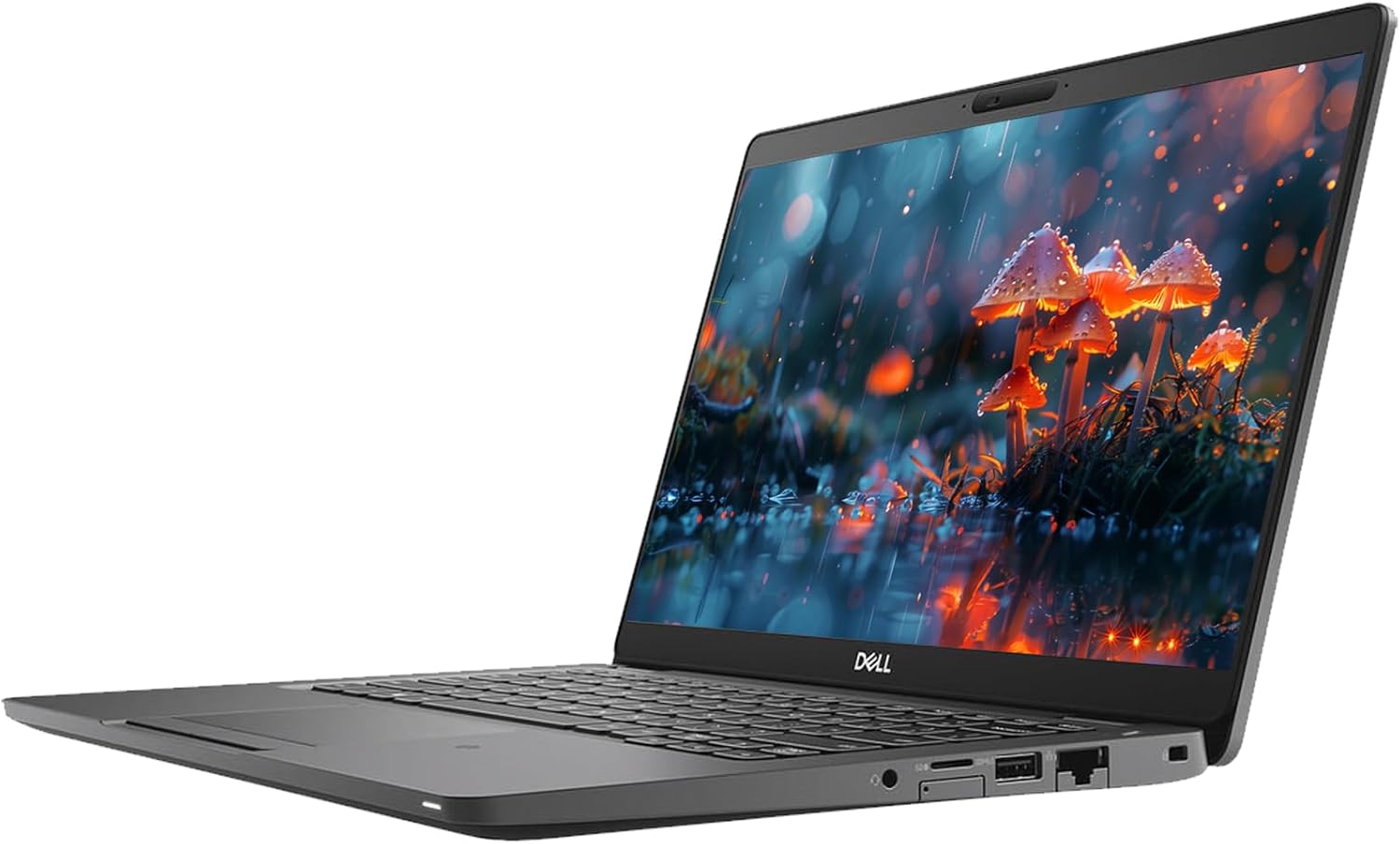 Dell Latitude 5300