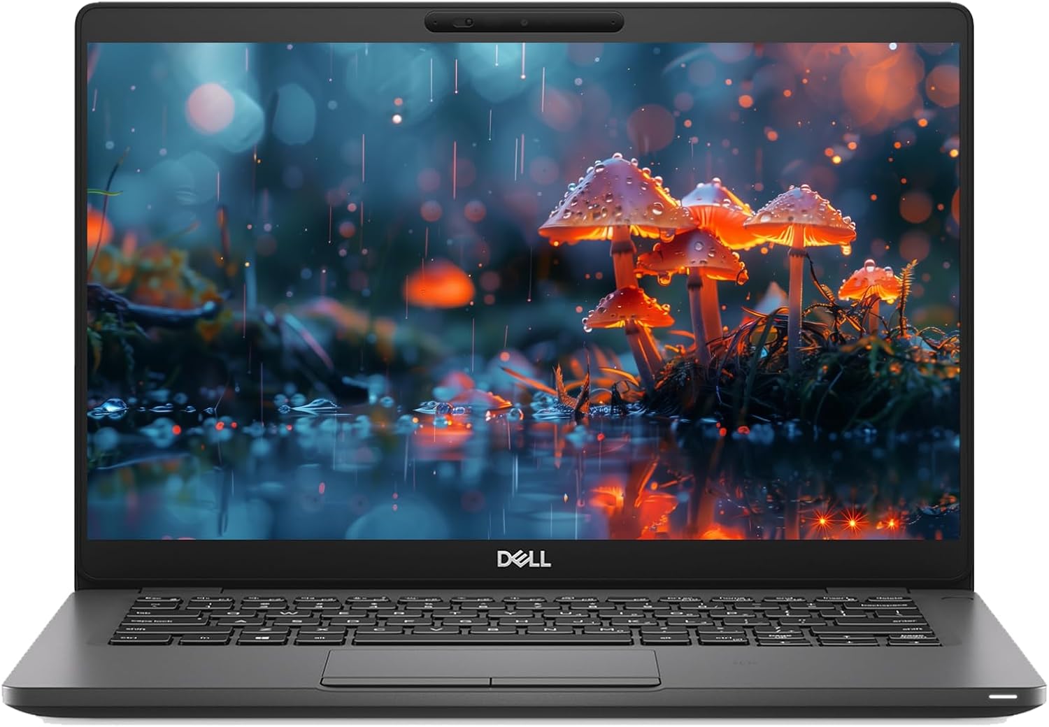 Dell Latitude 5300
