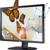 Dell LED U2412M 24 INCH