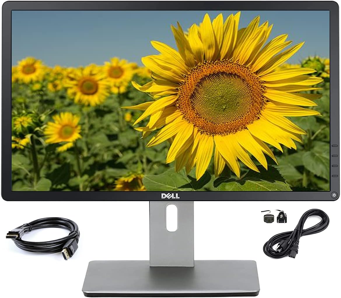 Dell P2214H
